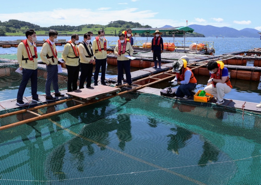 ▲ 현장점검 중인 조승환 해양수산부장관