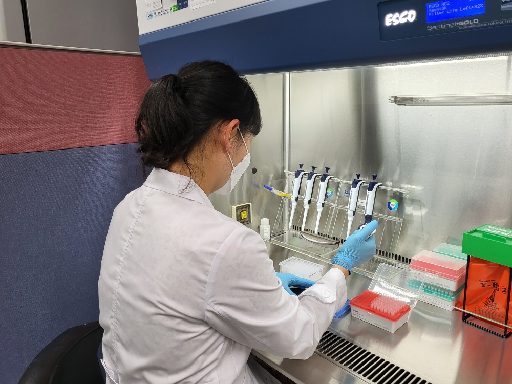 ▲ AI 가금류 질병검사