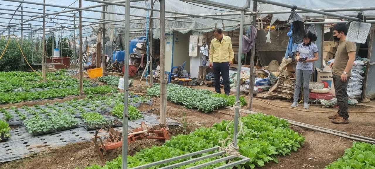 ▲ 비닐하우스 점검