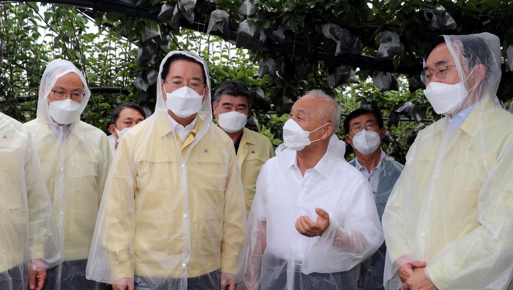 ▲ 나주 배 재배농가를 방문한 김 지사