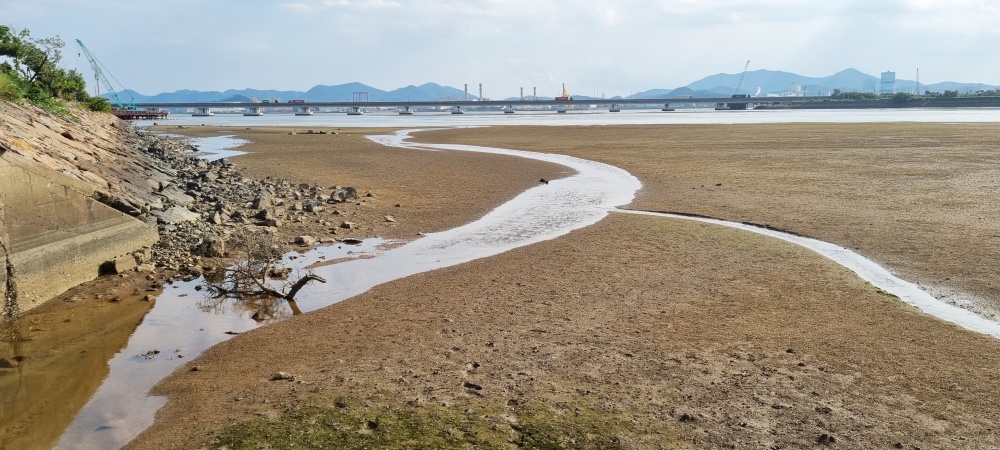 ▲ 환경오염행위 특별점검