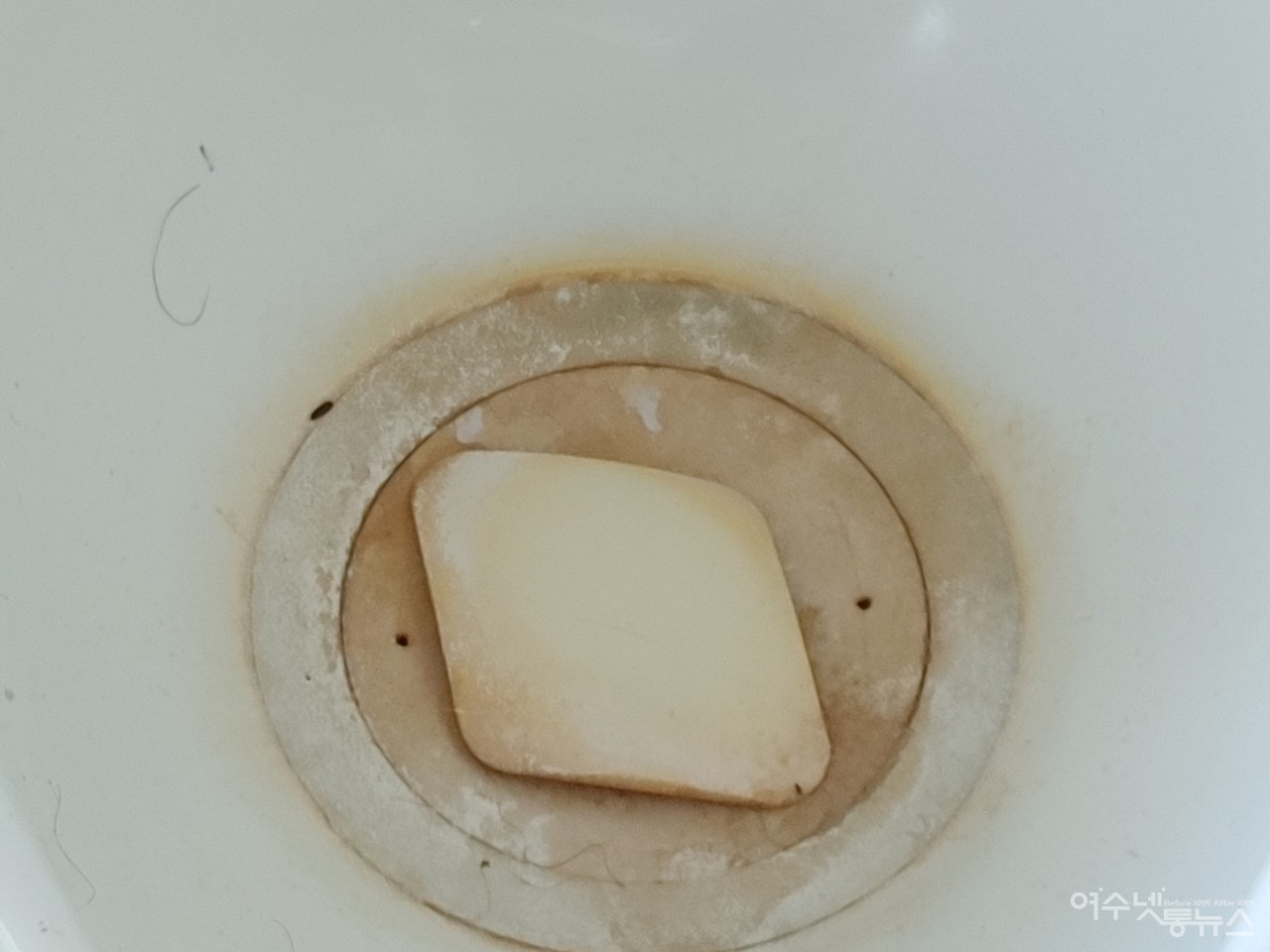 ▲ 엉망진창 신북항 화장실 ⓒ심명남