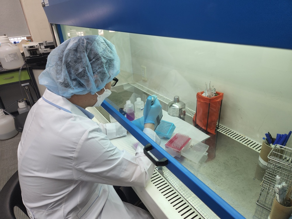 ▲ 돼지질병검사 분석