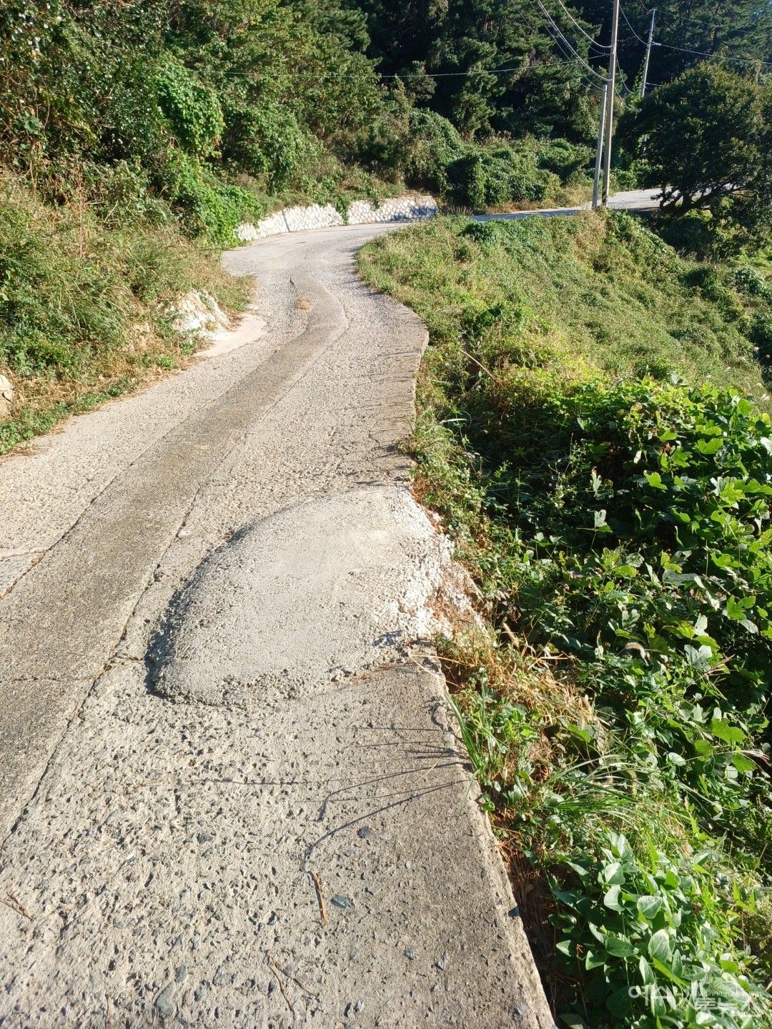 ▲ 여수 남면 안도 동고지 명품마을로 이어지는 구불구불한 도로다.ⓒ김성수