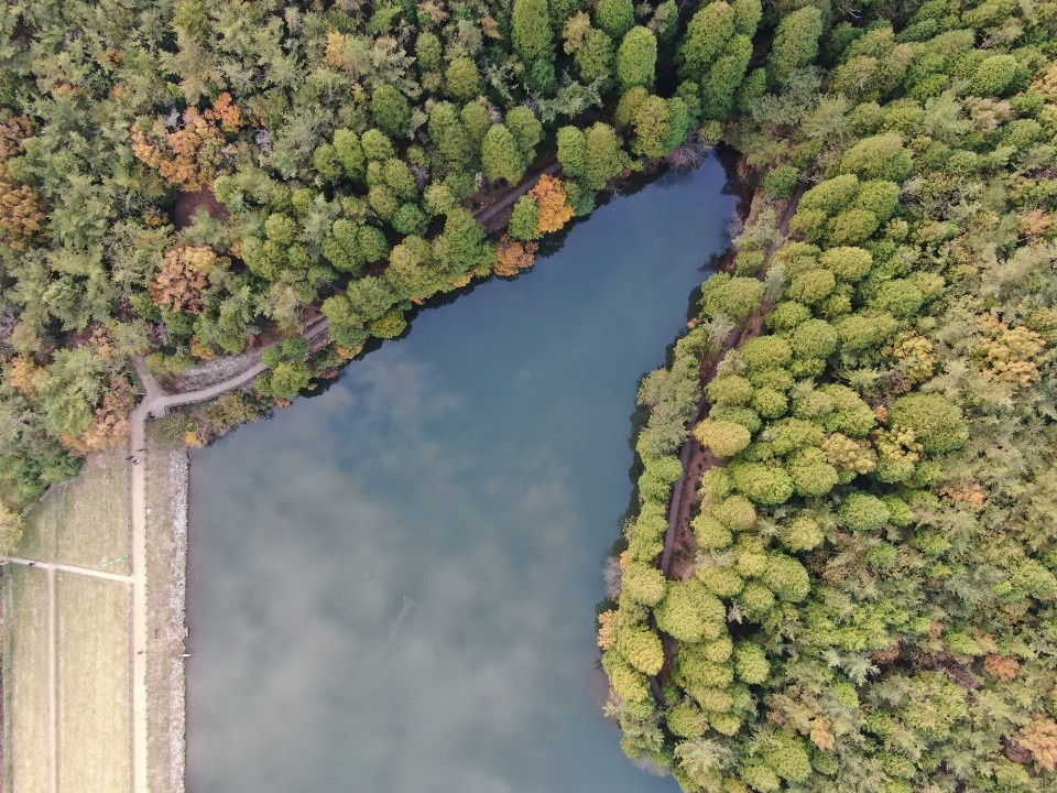 ▲ 무장애나눔숲