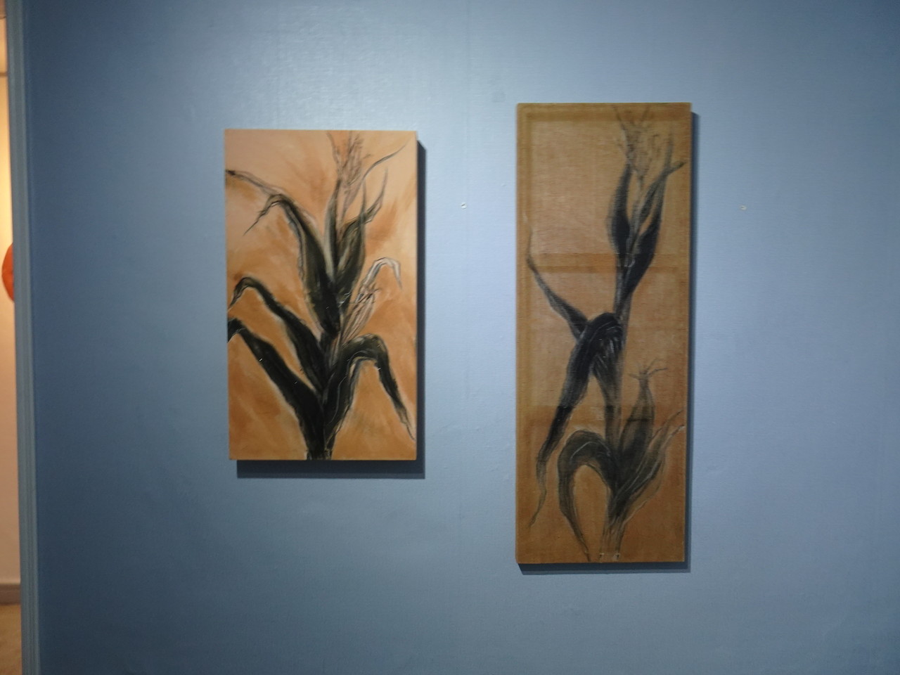 ▲ 이나경 작가는 옥수수를 즐겨 그린다.