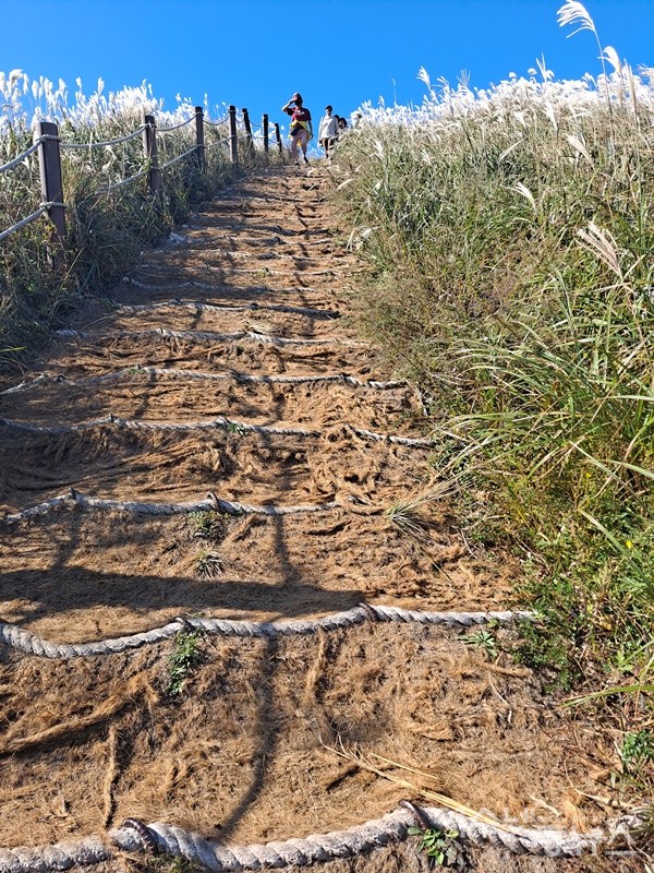 ▲ 제주도의 서쪽 오름 중 가봐야 할 곳 영순위로 꼽는다는 새별오름 가는 길이다. ⓒ조찬현