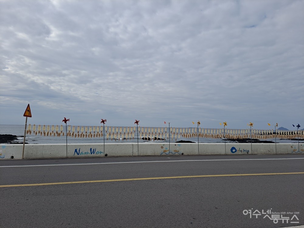 ▲ 정방폭포 가는 길에서 만난 남원 바닷가, 오징어가 있는 풍경이 여행자의 발걸음을 멈추게 한다.ⓒ조찬현