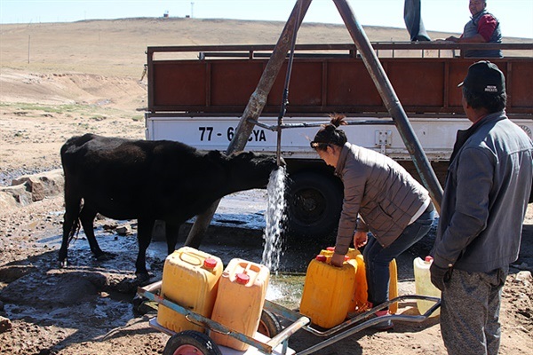 ▲ 오아시스 마을인 웅곰솜 샘터 모습. 나지막한 언덕아래 3곳의 샘에서 나오는 물을 파이프로 모아 흘러나온 물을 가축과 사람이 공동 사용하고 있었다. 3곳에서 나오는 물로 하나의 마을이 이뤄진모습을 보고 놀랐다.ⓒ오문수