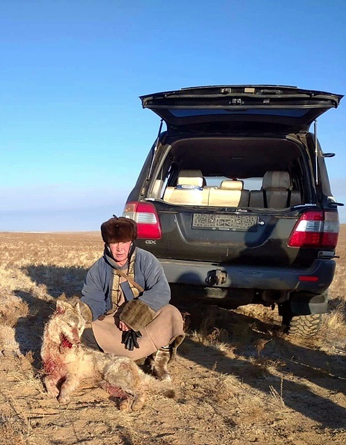 ▲ '모기'씨 막내 동생이 몇년전에 잡았다는 늑대 모습 ⓒ "모기"씨 동생제공