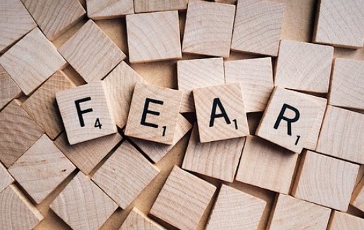 ▲ 출처 : PIXABAY