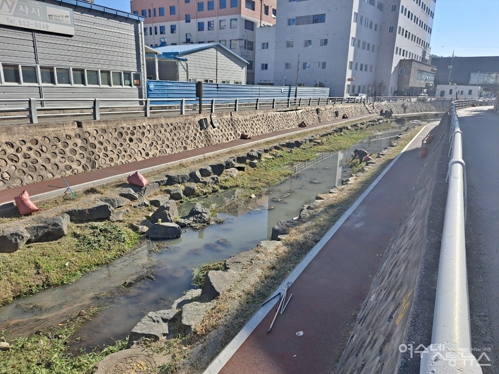 ▲ 하수관로 복구 후에도 연등천에 오염수가 흘러들고 있다. ⓒ조찬현