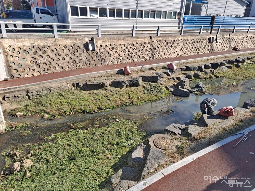 ▲ 제초 작업자들이 베어내 무단투기한 풀을 수거하고 있다.ⓒ조찬현