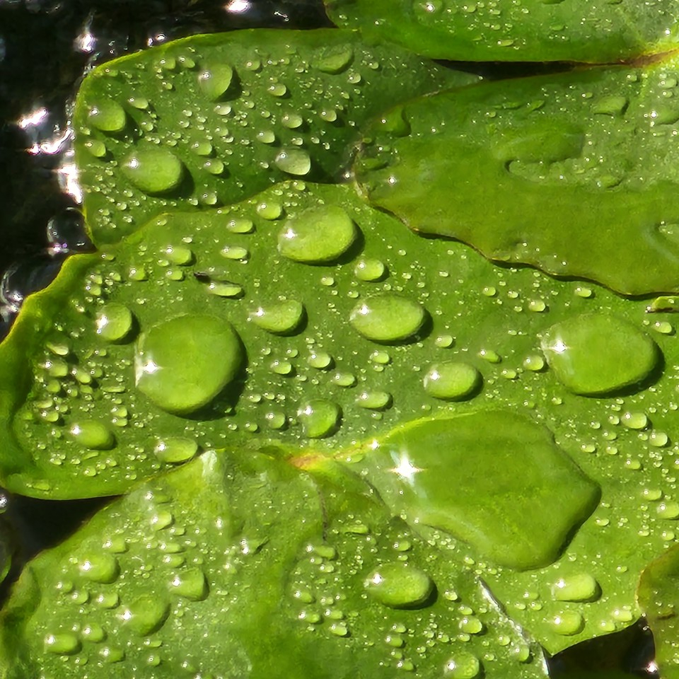 ▲ 정부는 국민에게 선정과 애민을 몸소 보여 주어야 한다. 그러면 국민은 정부를 신뢰할 것이다.