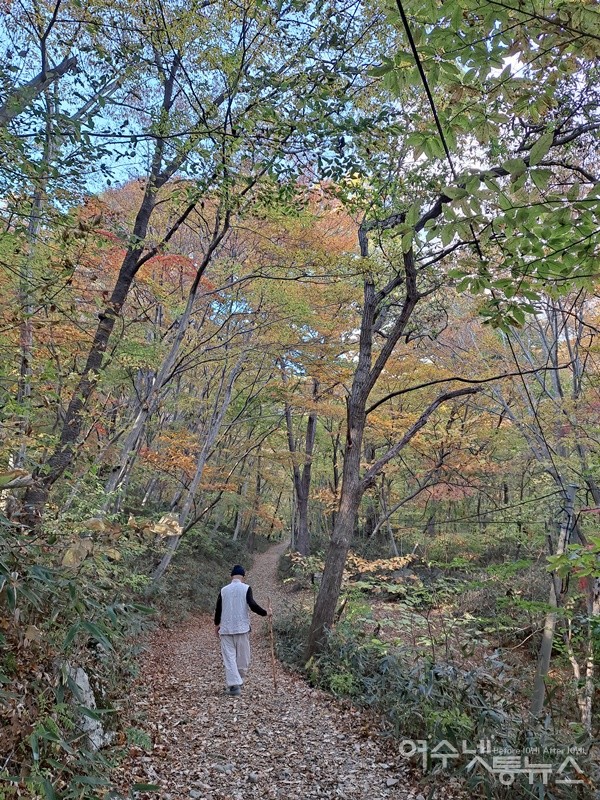 ▲선암사 편백나무 숲길에서 만난 노스님은 선암사 속 단풍이 더 아름답다고 했다. ⓒ조찬현