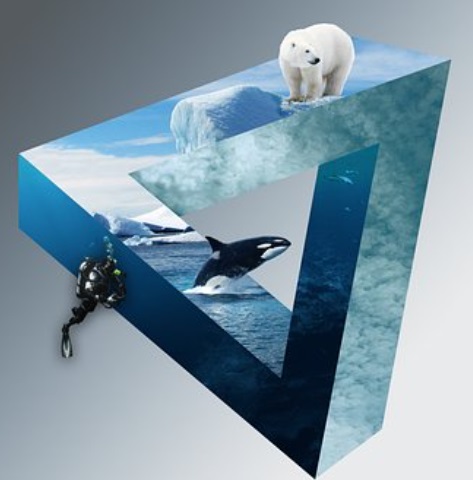 ▲ ⓒ출처: Pixabay