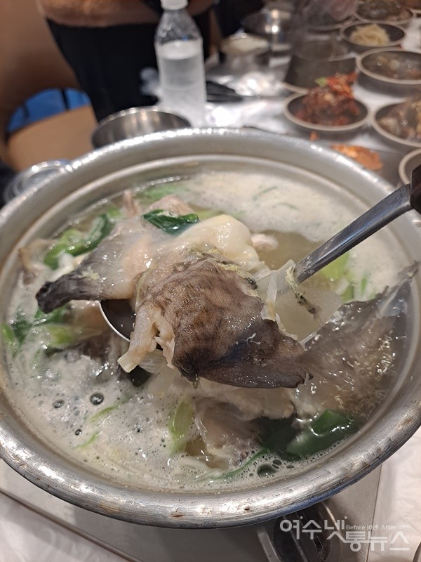 ▲ 못난이 바닷물고기인 물메기는 해마다 겨울철이 되면 미식가들로부터 인기를 끌고 있다. 아니 귀한 대접을 받고 있다. ⓒ조찬현