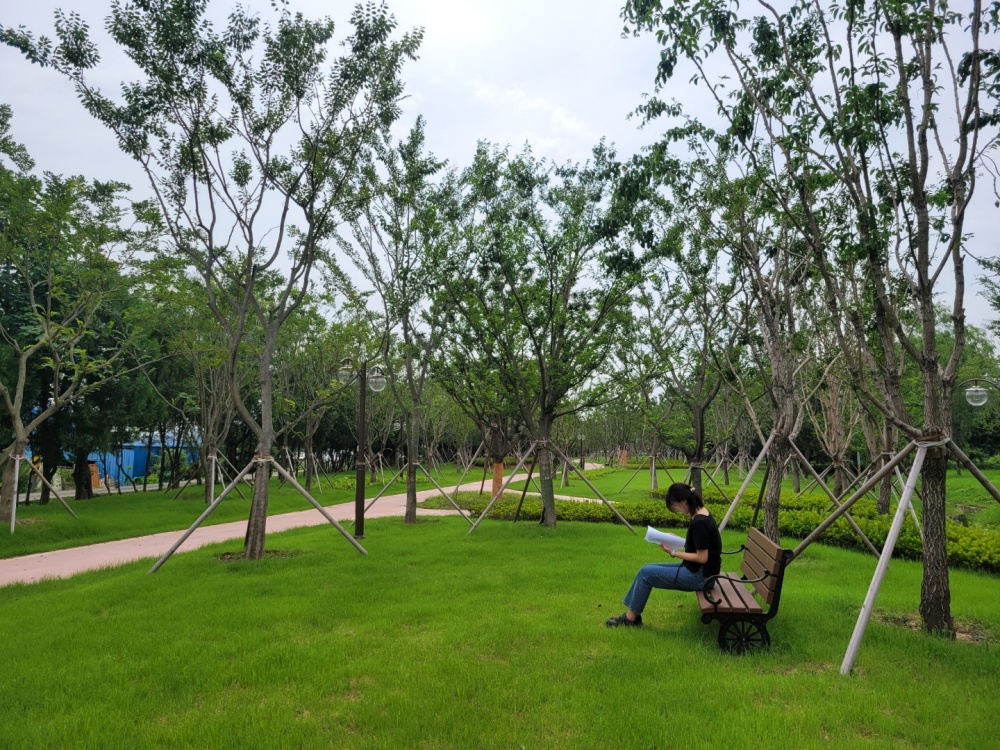 ▲ 광양 기후대응 도시숲