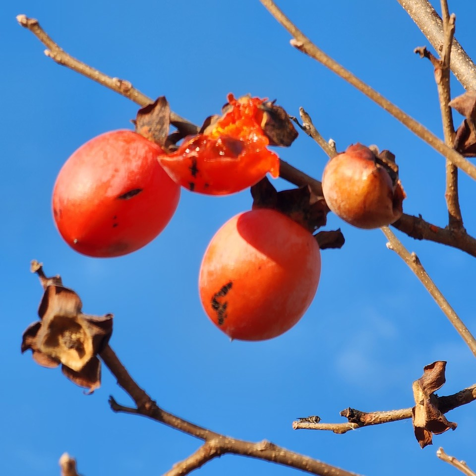 ▲ 영웅이 되고 싶은가? 이름대로 사는 임을 진정한 영웅이라 칭하고 싶다.