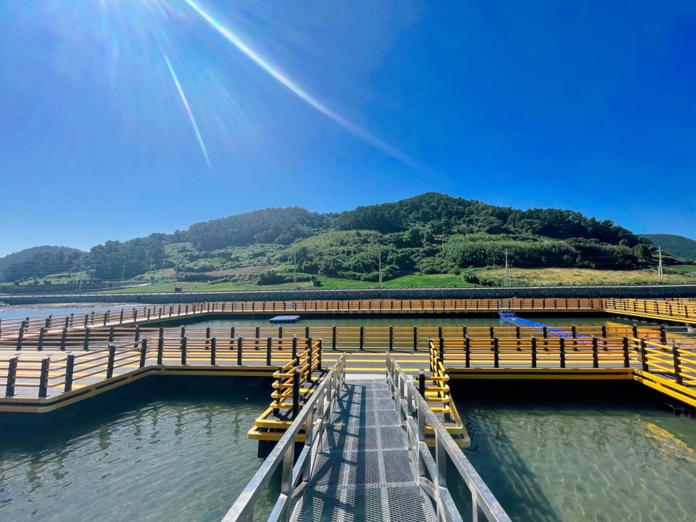 ▲ 여남중학교 안도분교가 안도기러기캠핑장으로 탈바꿈했다 ⓒ전남관광두레 블로그