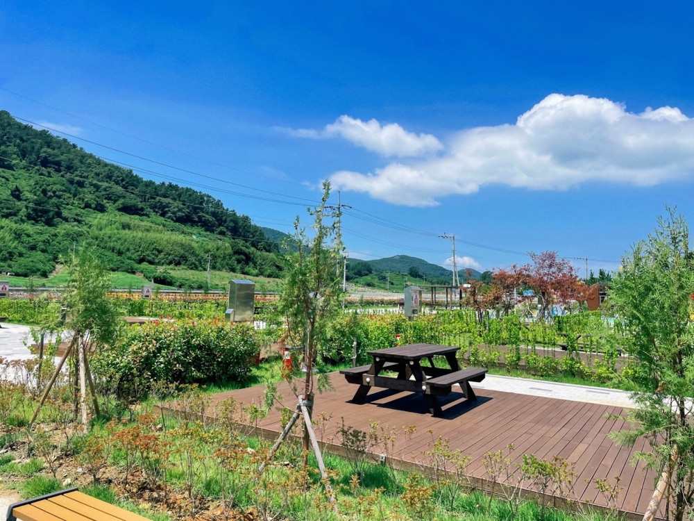 ▲여남중학교 안도분교가 안도기러기캠핑장으로 탈바꿈했다 ⓒ전남관광두레 블로그