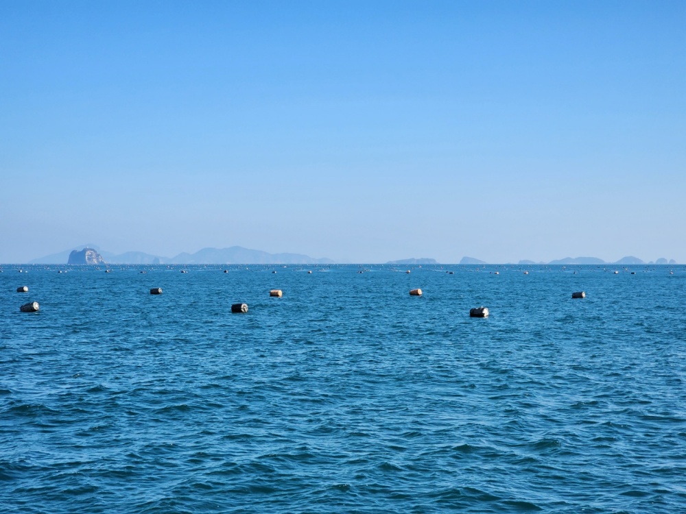 ▲ 불법설치 김 양식 시설물