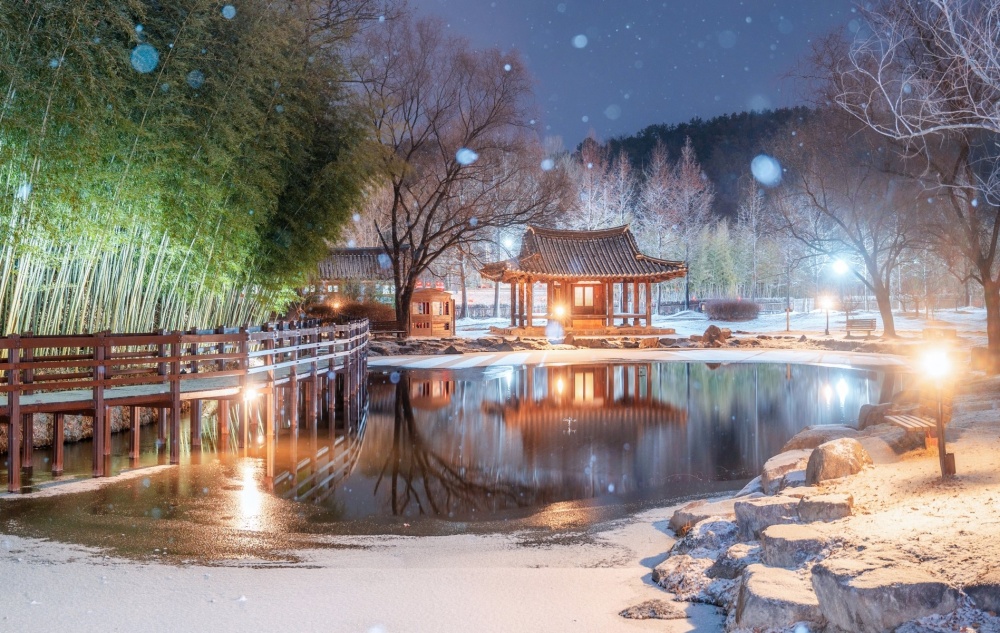 ▲ 카타르월드컵서 홍보한 전남관광지 '담양 죽녹원 겨울밤'