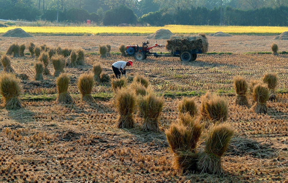 ▲ 친환경농업 경영 현장