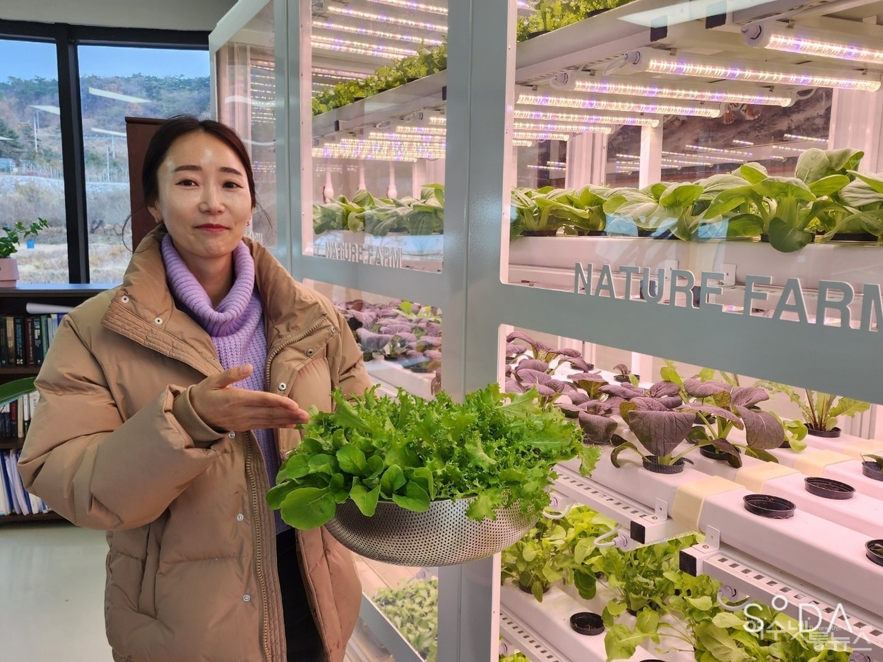 ▲ 네이처팜 직원이 식물농장에서 수확한 식물을 들어보이고 있다 ⓒ심명남