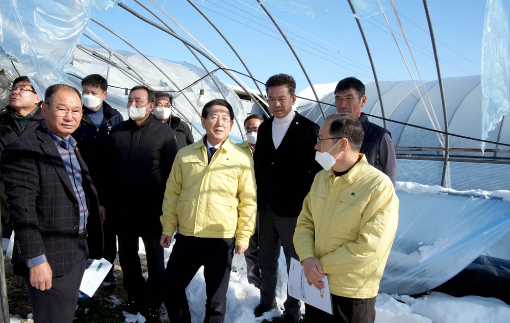 ▲ 폭설 피해를 입은 담양 딸기농가 방문한 김 지사