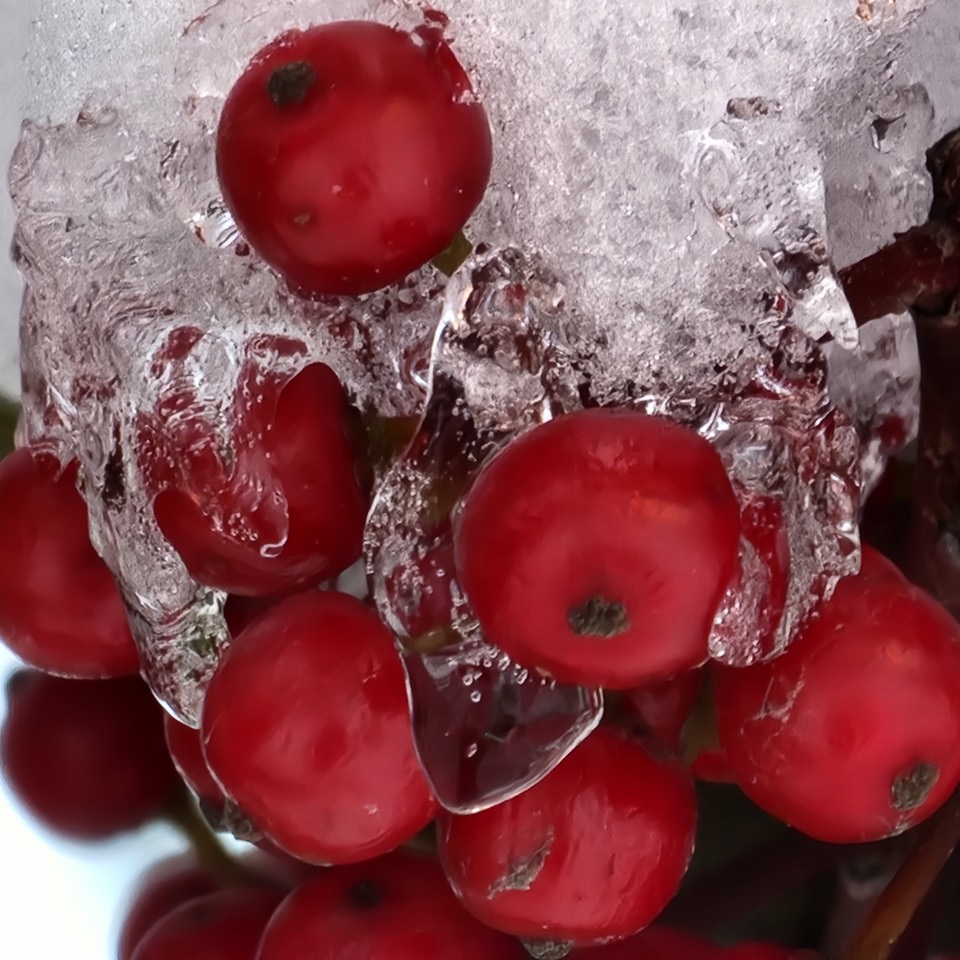 ▲ 반항은 생명을 지키기 위한 몸부림이다.