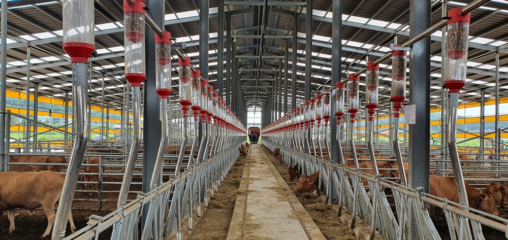 ▲ 전라남도 가축재해보험 - 우사