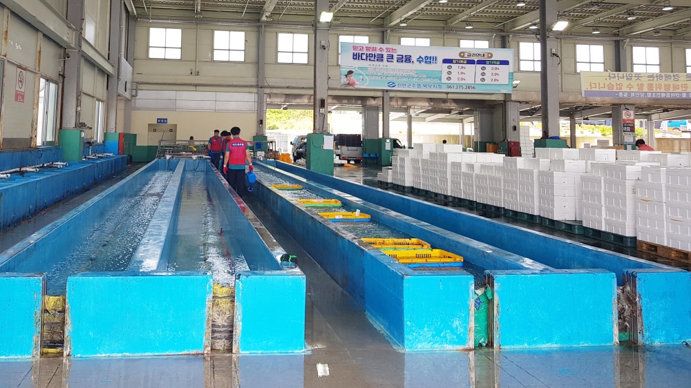 ▲ 수산물 위판장 정비 전- 일반위판장(개방형)