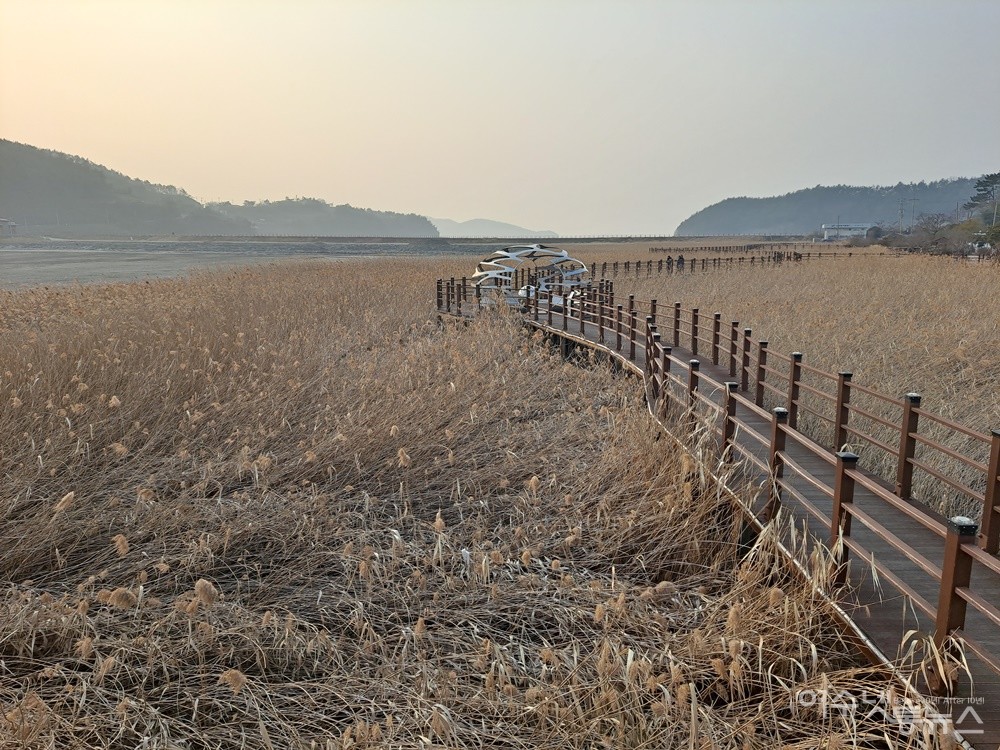 ▲ 갈대밭 사이 데크길 산책로를 걷는다. 빛바랜 갈색의 갈대는 푸르른 봄을 꿈꾸며 지긋이 누워있다. ⓒ조찬현