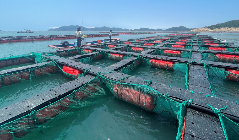 ▲ 공수산질병관리사 활동