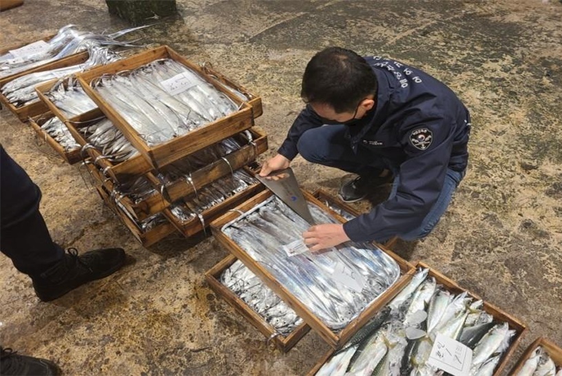 ▲ 불법어업 특별점검