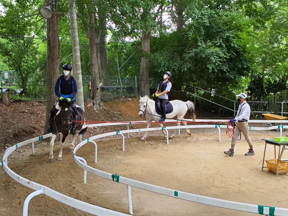 ▲ 스포츠강좌 이용권 승마체험 