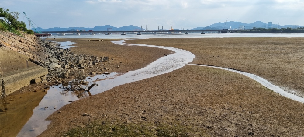 ▲ 환경오염 특별단속- 광양 초남산단 근처 하천