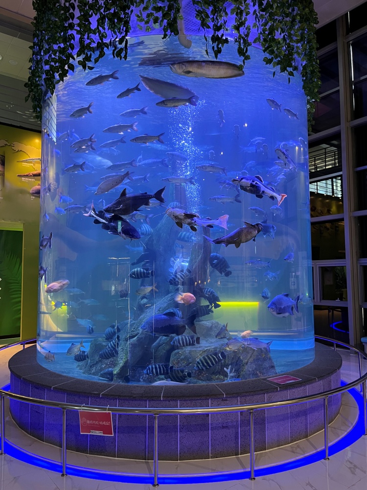 ▲ 해양수산전시관- 섬진강어류생태관