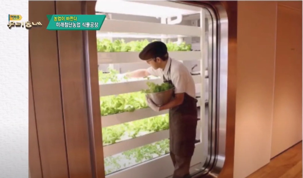 ▲ 농업회사법인 네이처팜(주) 식물공장