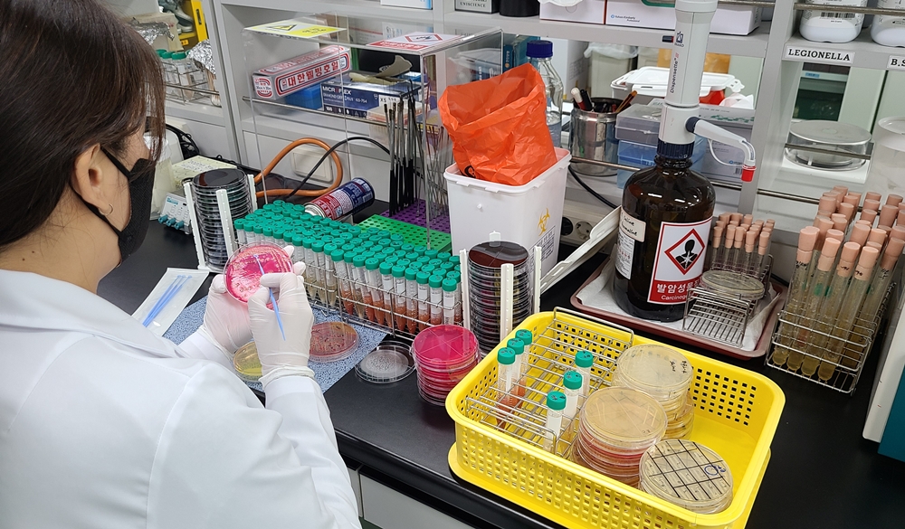 ▲ 전라남도보건환경연구원 식중독 실험 모습