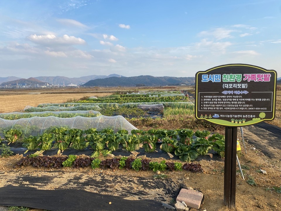 ▲ 대포리에 위치한 도시민 친환경 가족텃밭