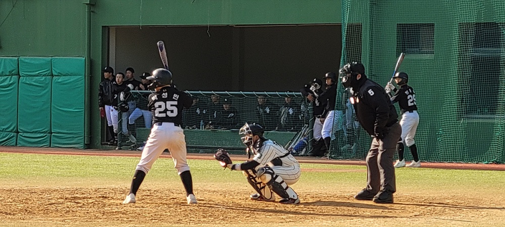 ▲ 야구경기 현장