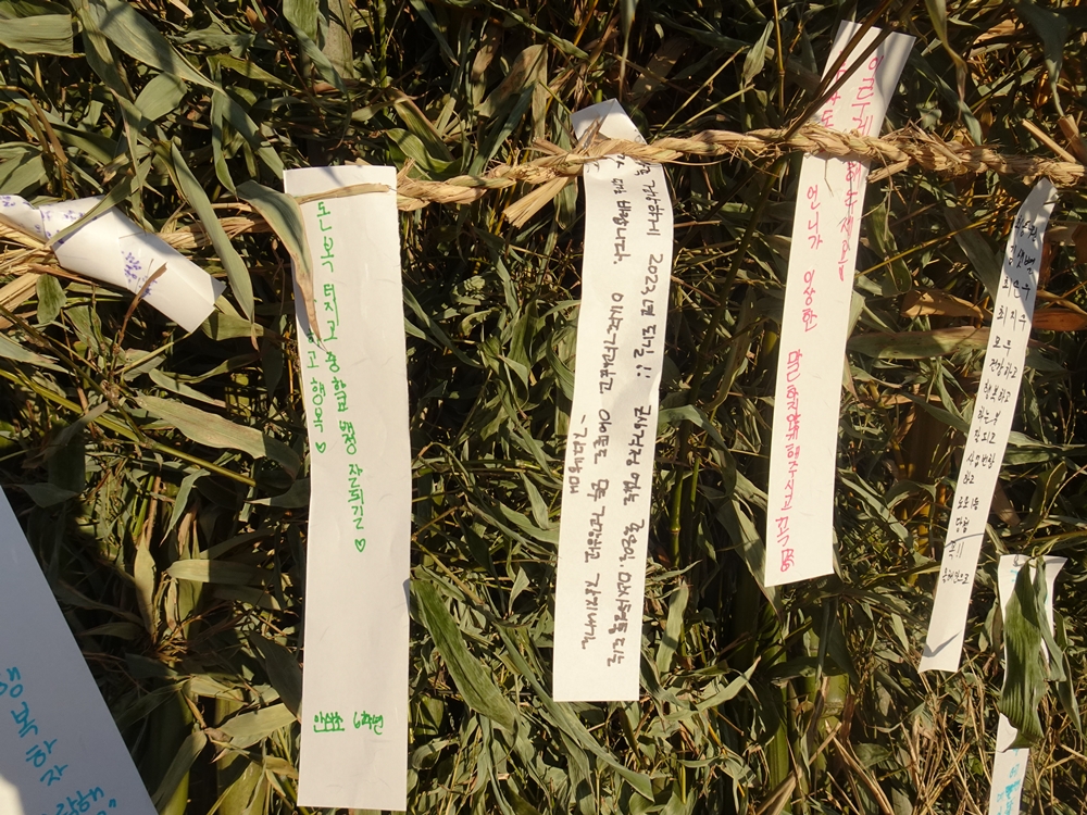 ▲ 달집에 저마다의 소원을 적어 달아두었다.