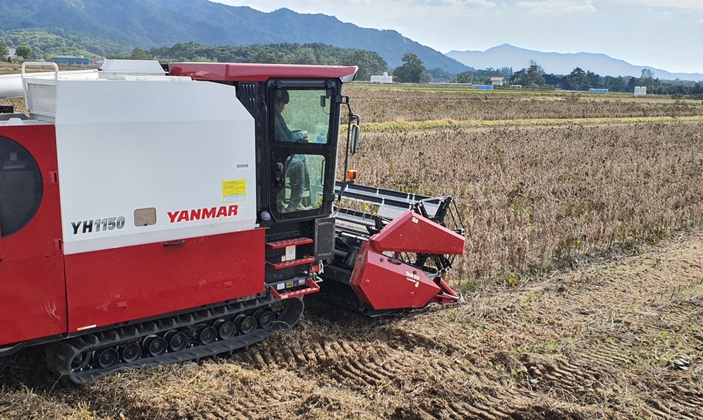 ▲ 전남의 콩 수확 현장