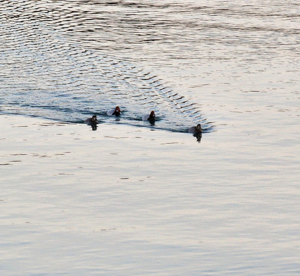 ▲삶에는 질서가 필요하다. 그렇다고 질서가 답인양 확정하지 말라.