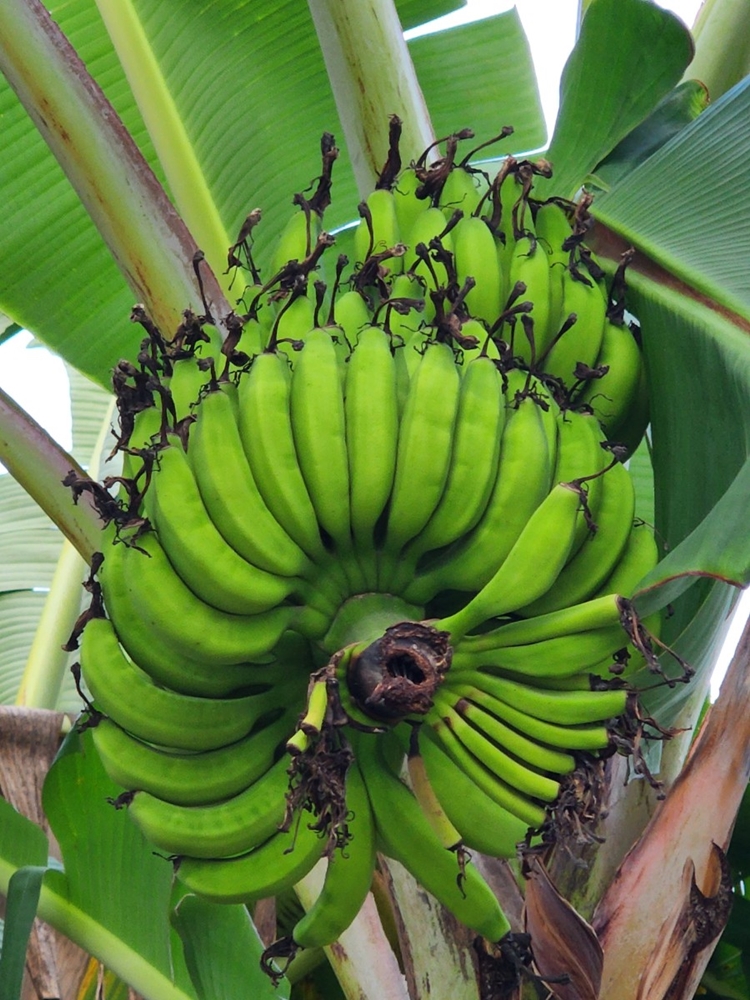 ▲ 정직이여! 겸손이여! 우리는 하나다.