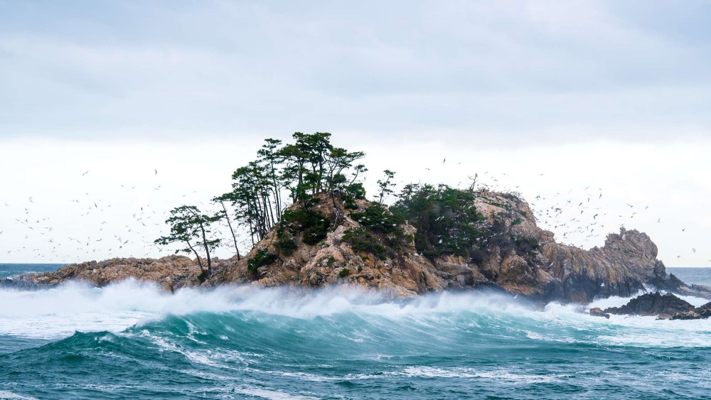 ▲  이효웅 ‘Waves’ 展 (61x79cm)