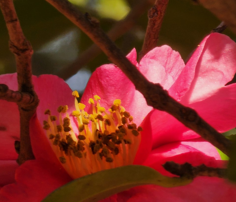 ▲ 삶에서 붉은 멍이 들어야 자각할 수 있고, 그 자각을 넘어서야 자아가 어렴풋이 보인다.