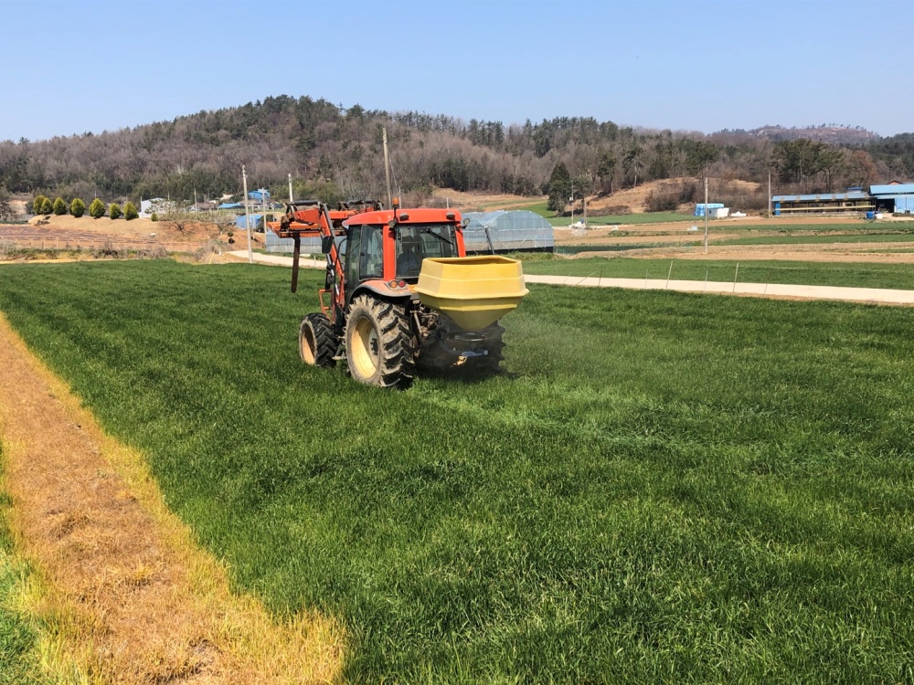 ▲ 토양개량제 살포 현장